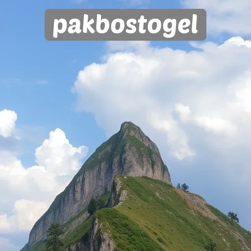 Saya Riset Pakbostogel Apakah Ini Layak Dicoba